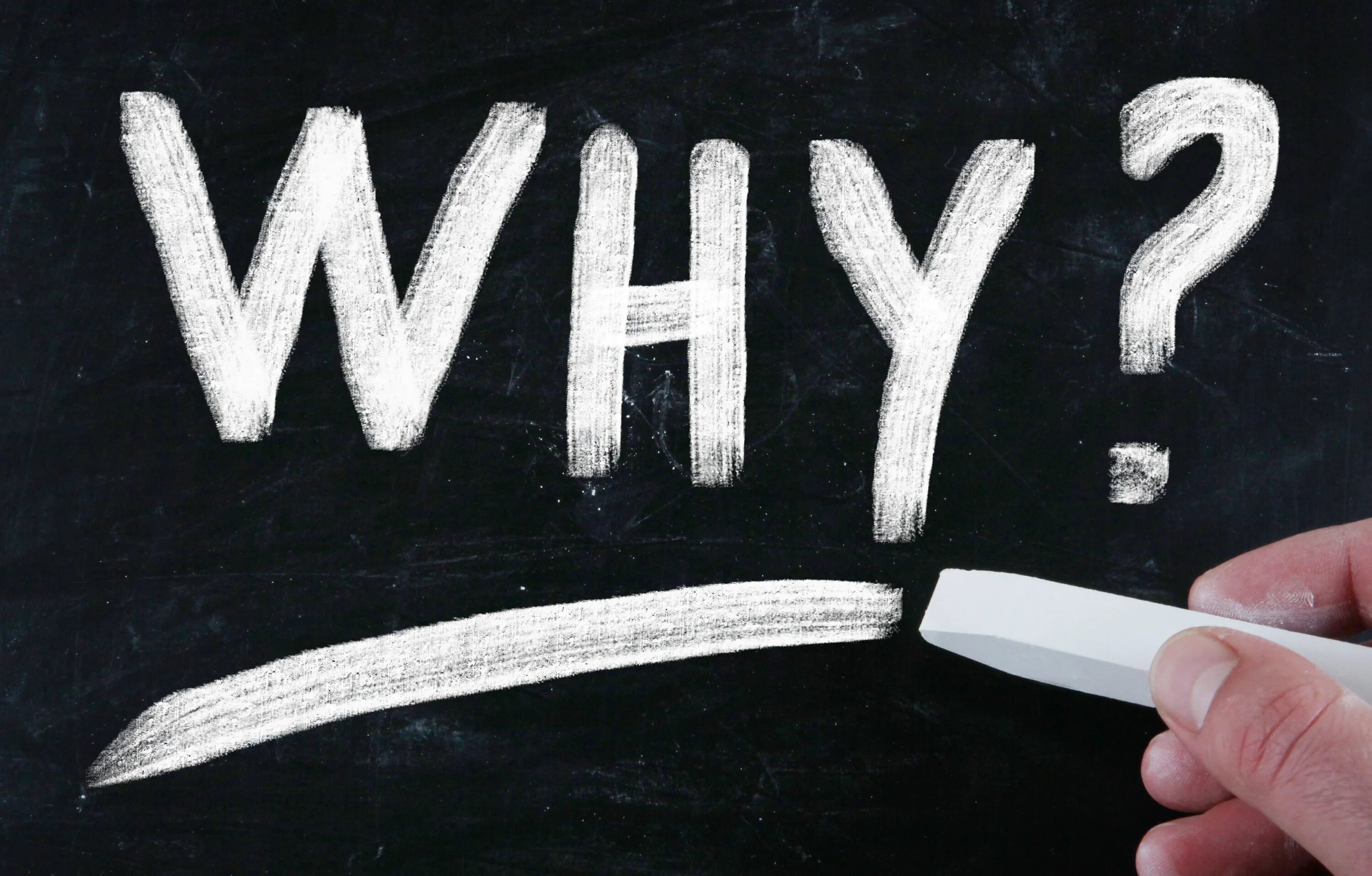 That s why we are here. Why. Why?й. Красивые картинки why?. Why? Картинка на аву.