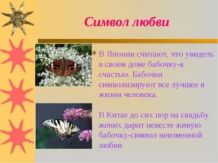 Значение цветов бабочек
