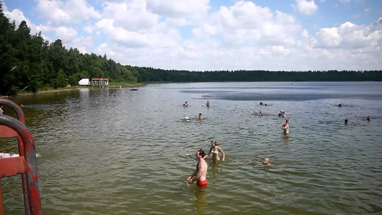 Белое озеро Николаевский район. Белое озеро Ульяновская область. Белое озеро Кузнецк. Белое озеро Николаевский район Ульяновская. Николаевское белое озеро