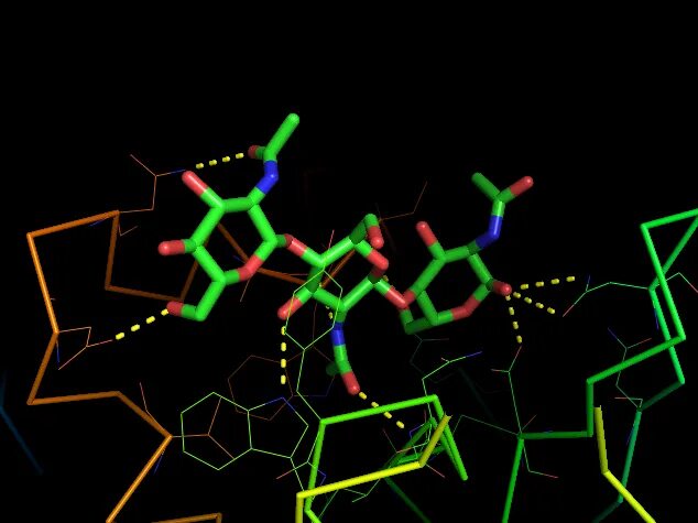 Pymol. Asn pymol. how to show aminoacids in pymol.