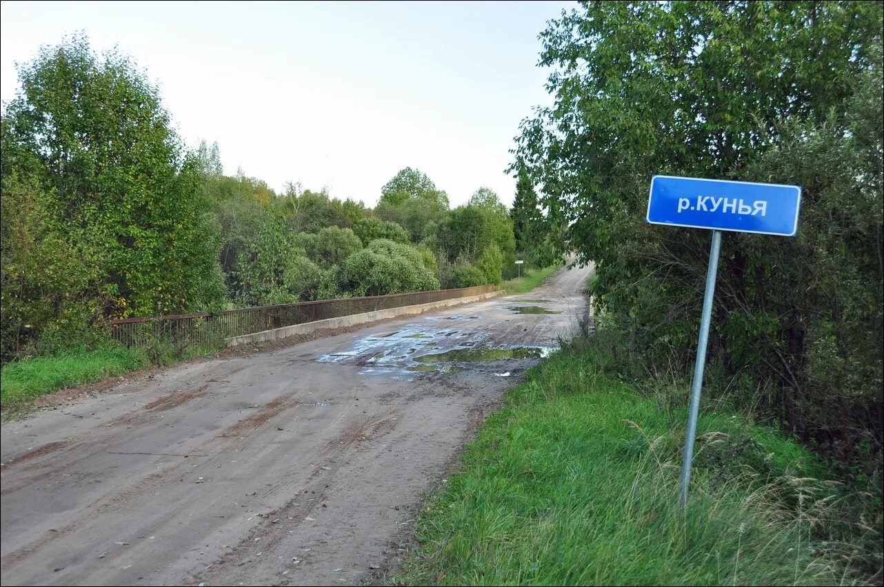 Кунья река Сергиев Посад. Река Кунья Сергиево-Посадский район. Река Кунья Реммаш. Поселок Кунья Псковская область.