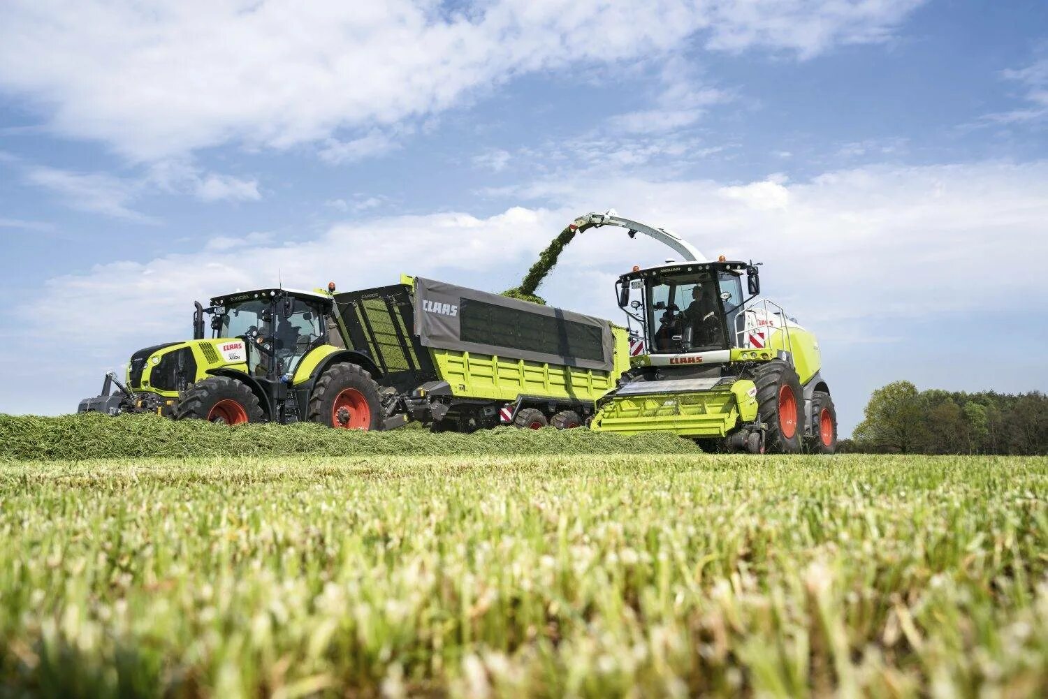 Комбайн CLAAS Jaguar 900. Кормоуборочный комбайн Ягуар. Кормоуборочный комбайн Ягуар 950. Jaguar 695 Mega кормоуборочный комбайн. Сена комбайн