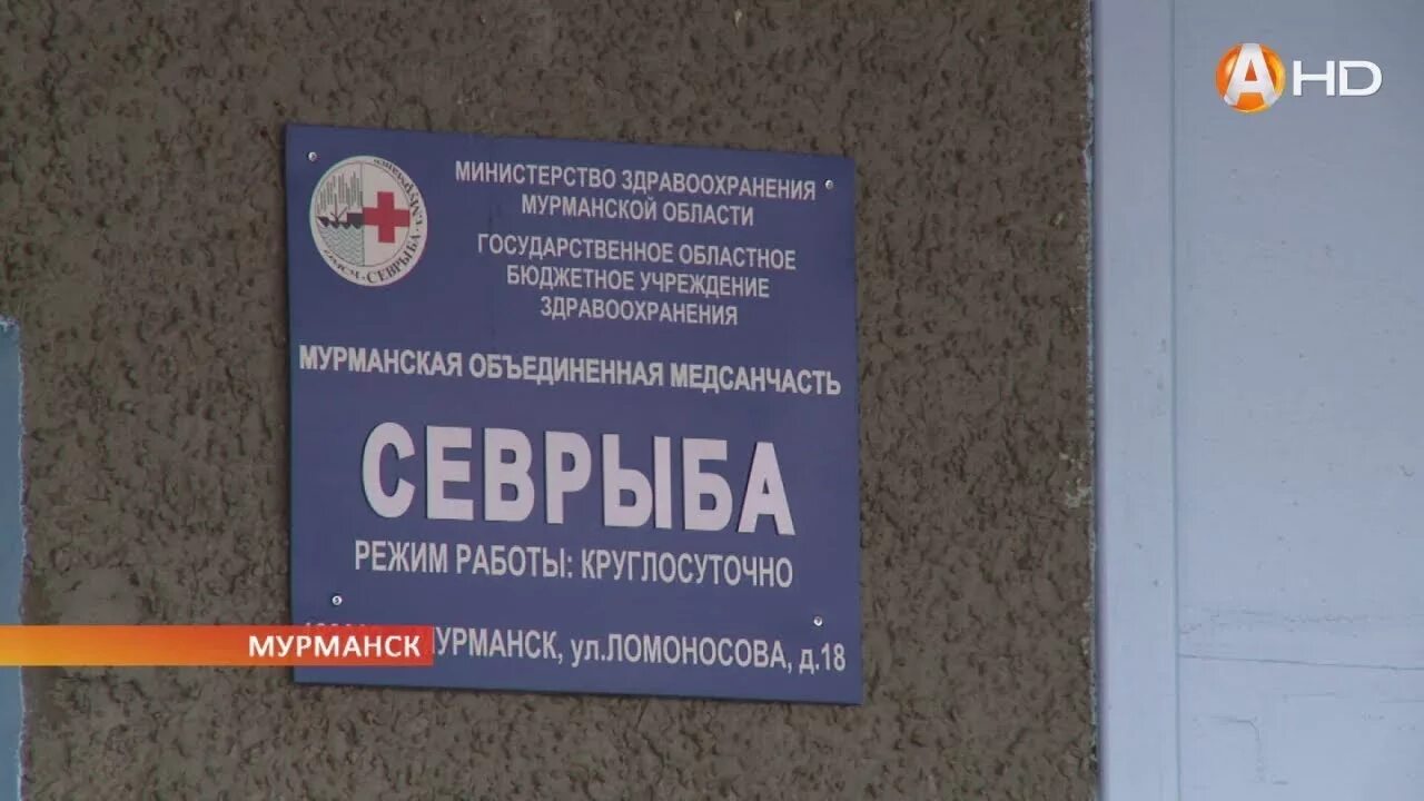 Приемный покой кировск мурманская область