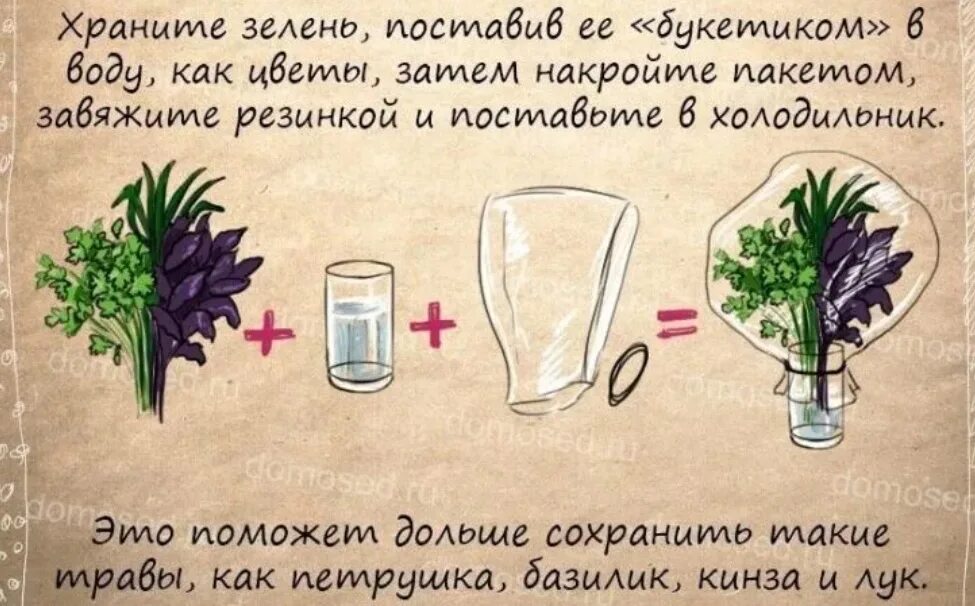 Советы по подам. Полезные советы. Полезные советы домоседа. Полезные советы картинки. Интересные советы для жизни.