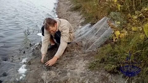Как ловить хапугой летом