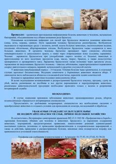 Самара бруцеллез
