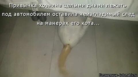 Оставили в душе неизгладимый след песня