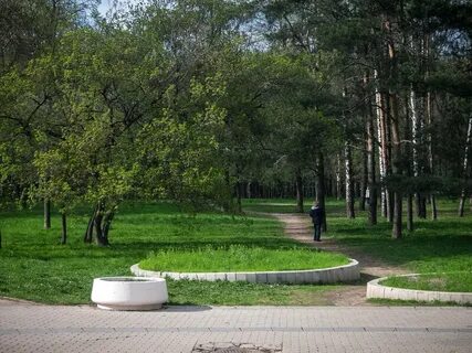 Обычный парк