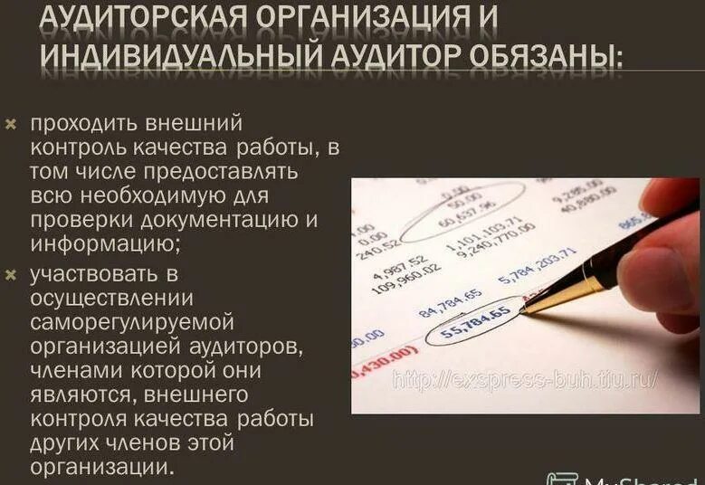 Аудиторские организации и индивидуальные аудиторы