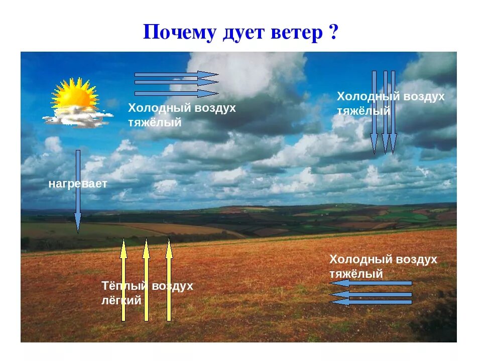 Дует сильно холодный ветер. Почему дует ветер. Возникновение ветра. Ветер это движение воздуха. Схема ветра окружающий мир.