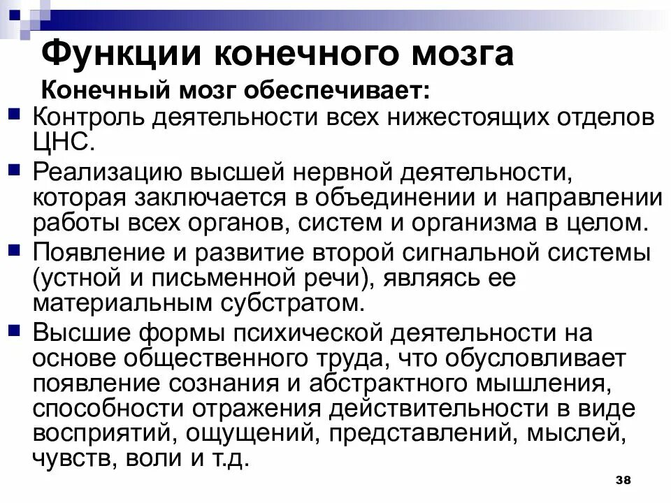 Функции конечного пользователя. Функции конечного мозга человека. конечный мозг функции. функции конечного мозга кратко. строение конечного мозга и его функции.