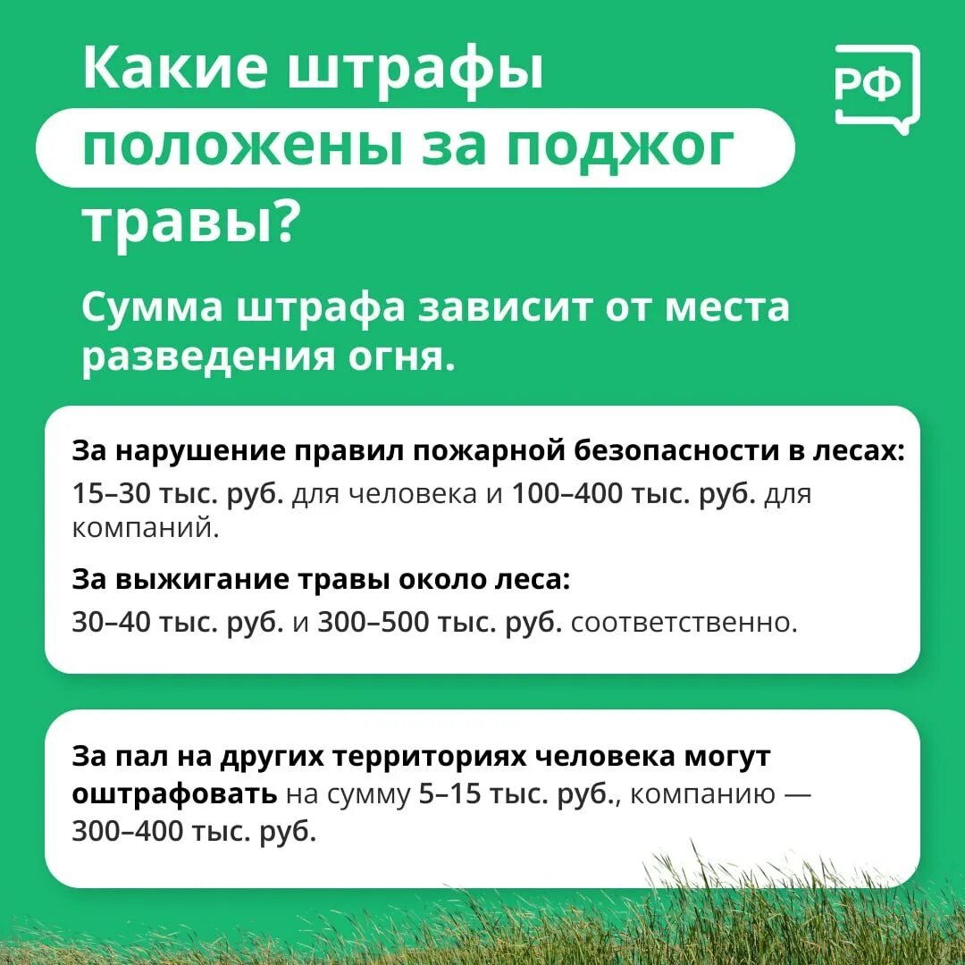 Можно ли сжечь растения. Штраф за поджог травы. Особый противопожарный режим штраф. Сжигать прошлогоднюю траву.