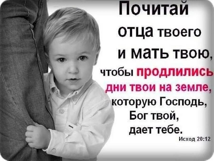 Цитаты про детей которые обижают родителей. Цитаты про детей. Мудрые изречения про детей и родителей. Высказывания о плохих родителях. Как назвать маму и папу