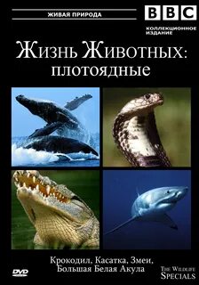 Bbc жизнь