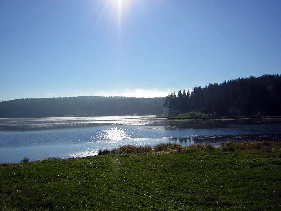 Нижний тагил пруд. Лисья гора тагильский пруд нижний тагил. Нижний тагил муренские пруда. Набережная тагильского пруда. Мост в нижнем тагиле через тагильский пруд.