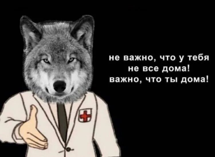 Волчий доктор. Волк врач. волк медик. мультяшные доктора волк. левой чистоту правой суету мем.