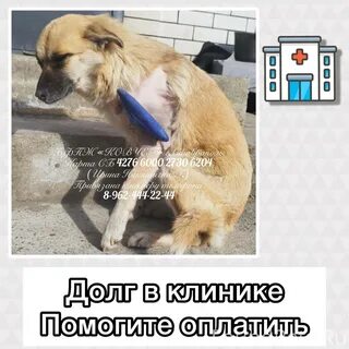 Собраться р