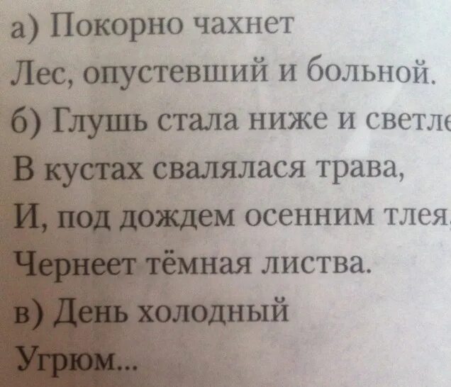 Птиц. Покорно чахнет Бунин. Не видно птиц покорно чахнет Бунин. Стих не видно птиц. Стих не видно птиц покорно чахнет лес опустевший и больной.