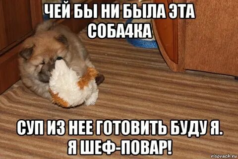 Я больше не буду готовить есть