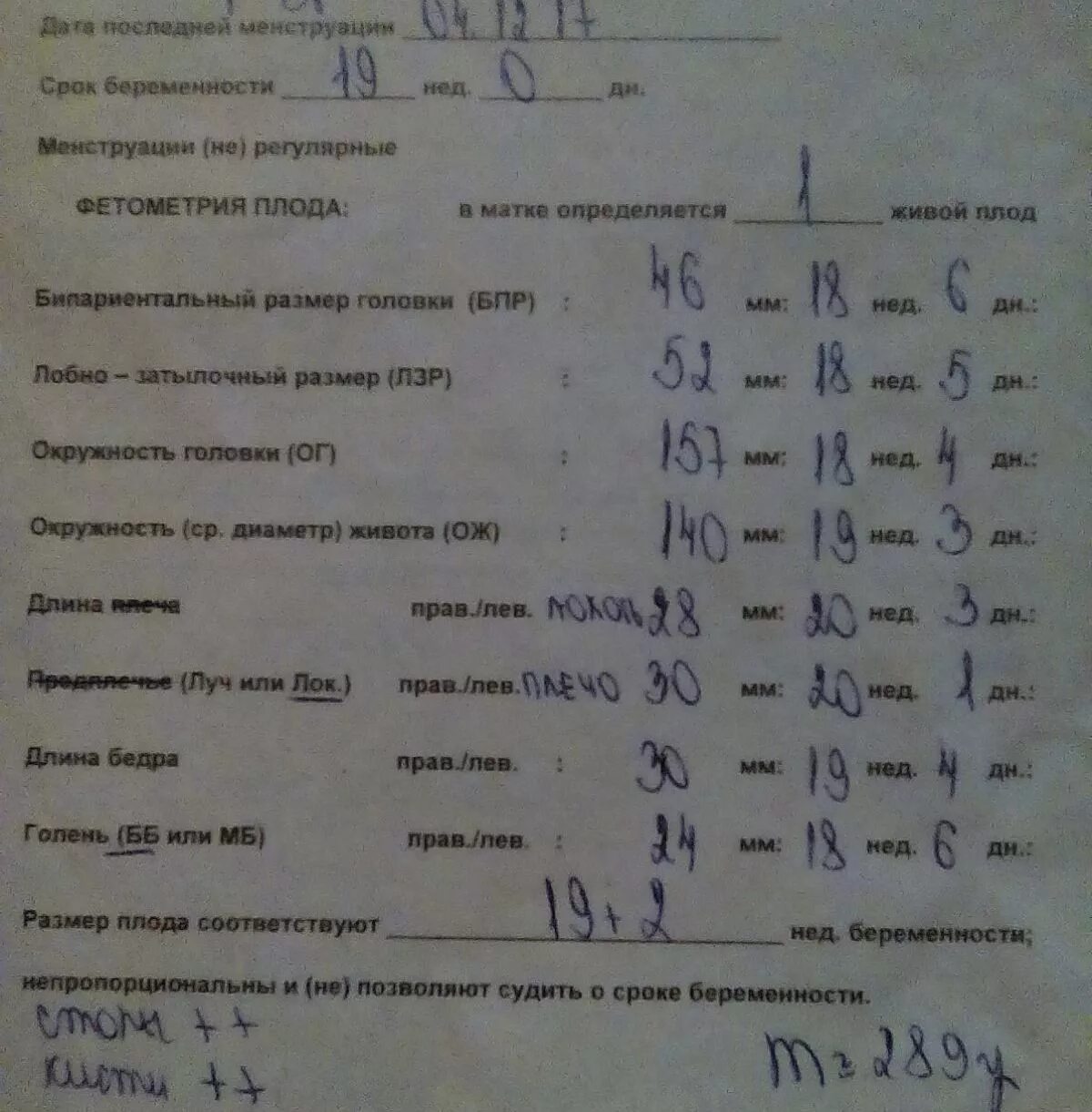 УЗИ В 20 недель нормы показателей. Нормы плода в 19 недель беременности. УЗИ В 19 недель беременности показатели. УЗИ на 21 неделе беременности показатели. Нормы плода 19 недель