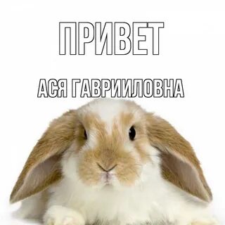 Здравствуй сережа
