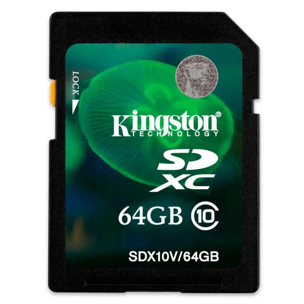 Kingston SD Card 16 GB. Kingston 128 GB SDXC class 10. Kingston sd10v SDHC 8gb. Kingston SD 32gb class 10. Класс памяти sd