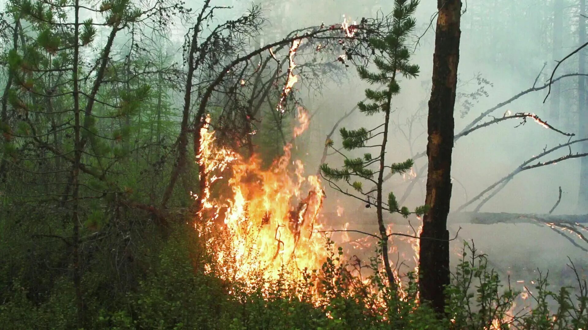 Горит заповедник