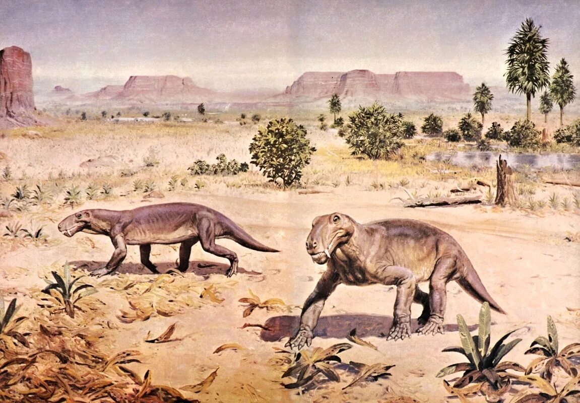 Древние животные растения. Кайнозойская эра мамонты. Кайнозой эра неоген. Динозавры мезозойской эры. Мастодонт гомфостерий.