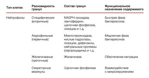 Специфические гранулы базофилов содержат