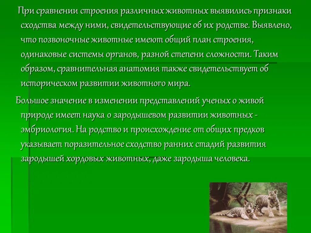 Сходство человека и животных свидетельствует об их. О чем свидетельствует сходство зародышей. О чем свидетельствуют различия зародышей. Сходство человека и млекопитающих свидетельствует. О чем свидетельствуют сходства и различия зародышей.