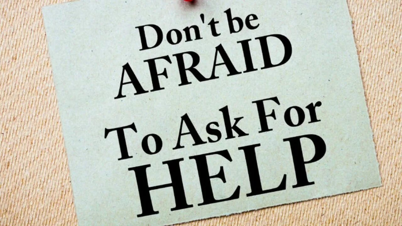 Can t help but ask. Can t help but ask