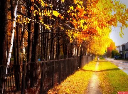 На улице золотая осень