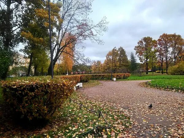 Грозный - фотографии и достопримечательности города.