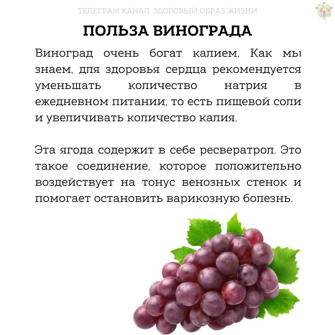 Сколько воды содержится в винограде. Чем полезен виноград. Что полезного в винограде. Виноград польза. Чем полезен виноград для организма.