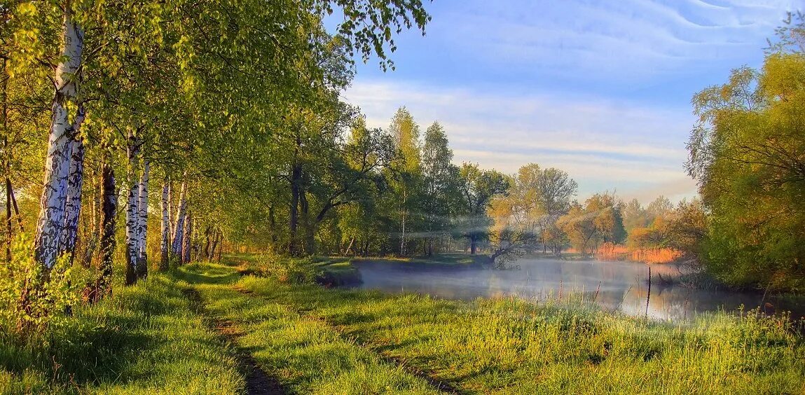 Утренний пейзаж березы. Умывает красно солнышко руки теплые в росе. Пейзаж Есенина. Красно солнышко и березы. Румянит сетку небосклона