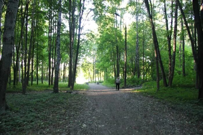 Киреевск парк культуры. Киреевск городской парк культуры и отдыха. Парка города Киреевск. Парк в Киреевске Тульской области. Киреевск льва толстого