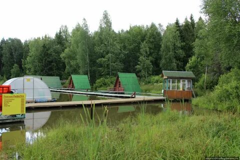 Морозово сергиево посадский