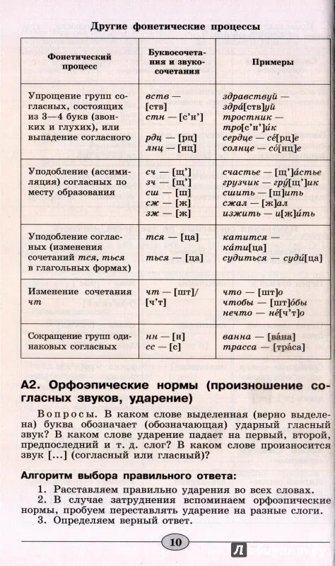 Фонетический процесс слова. Фонетические процессы таблица. Фонетические процессы в русском языке. Фонетические процессы примеры. Основные фонетические процессы таблица.