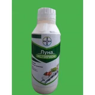 Луна экспириенс