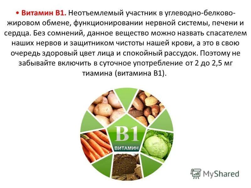 Витамин для нормального функционирования нервной системы. Витамин для нормального функционирования нервной системы