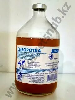 Вд бс
