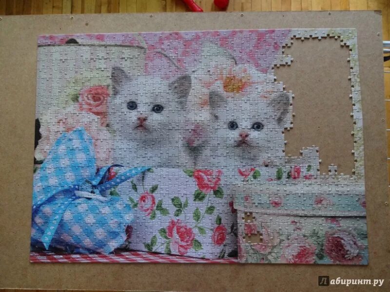 Пазлы с котятами 1000. Пазл котенок. Пазл "котята", 1000 деталей. Step Puzzle 1000 котята.