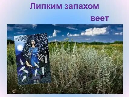 Веет запахом