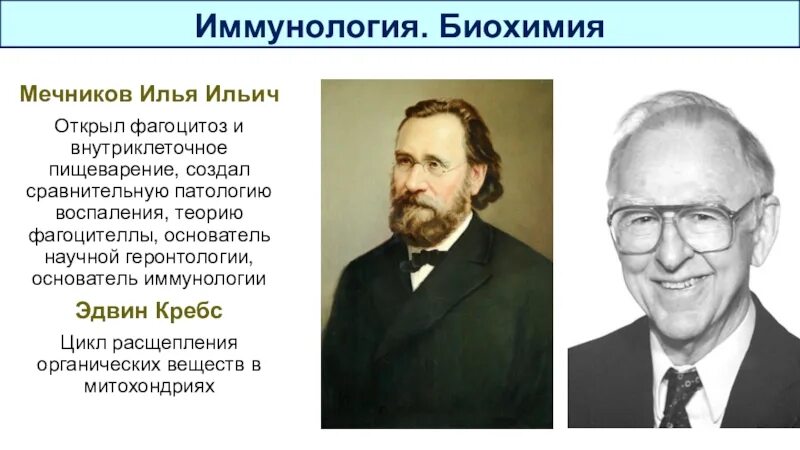 Луи пастер иммунология. Фамилии отцов основателей иммунологии. Основоположник имагологии. Мечников и пастер. Открытия мечникова и эрлиха микробиологии и иммунологии.