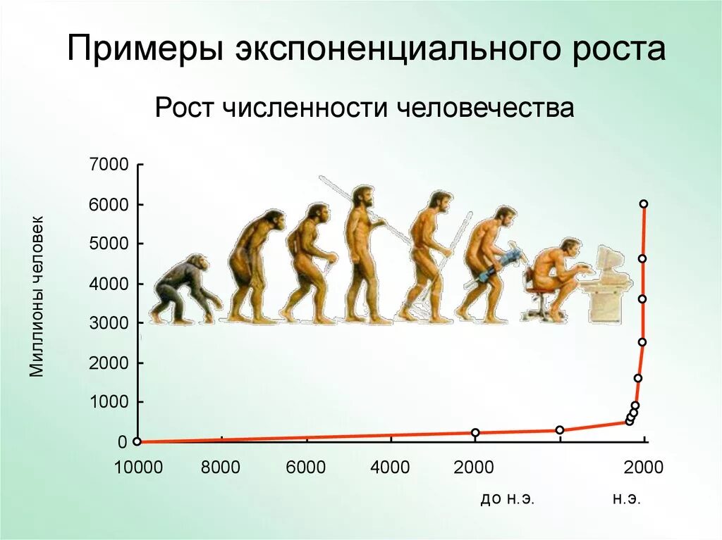 Численность человечества. Рост численности людей. Экспоненциальный рост пример. Экспоненциальный рост численности.