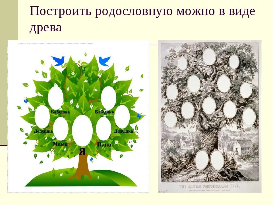 Проект Древо семьи 2 класс окружающий мир. Родословная семьи. Генеалогическое дерево в виде дерева. Генеалогическое Древо моей семьи.