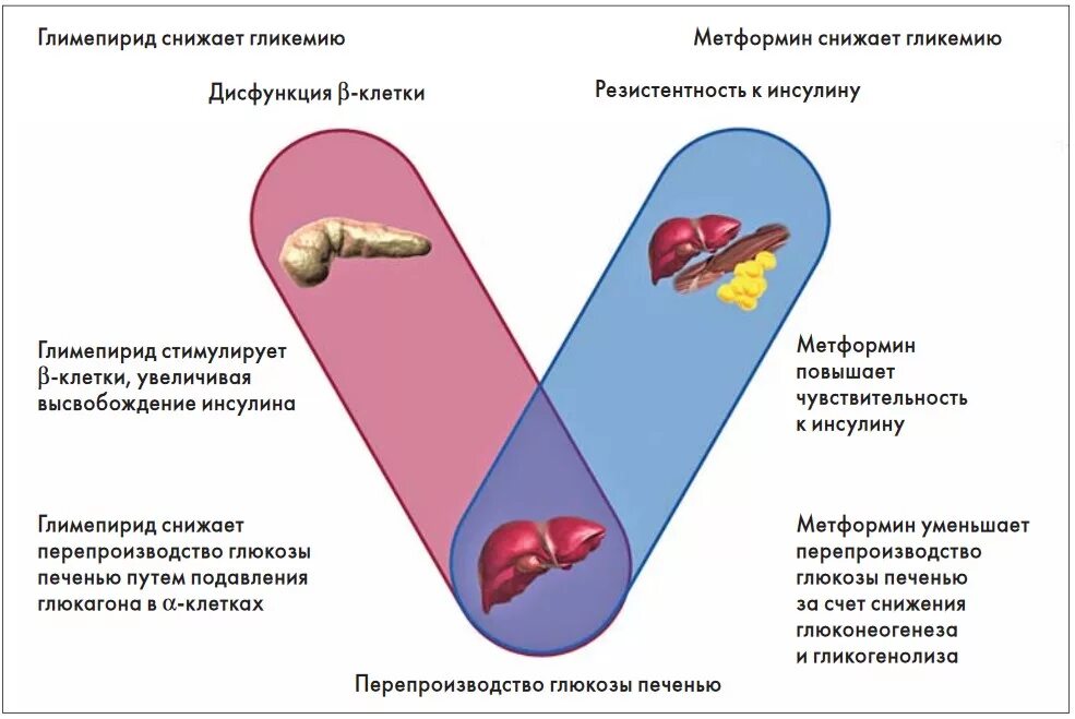 Фактор риска заболевания сахарного диабета. Гестационный сахарный диабет схема. Механизм развития СД 2 типа. Факторы риска гестационного сахарного диабета. Факторы риска сахарного диабета 2 типа.