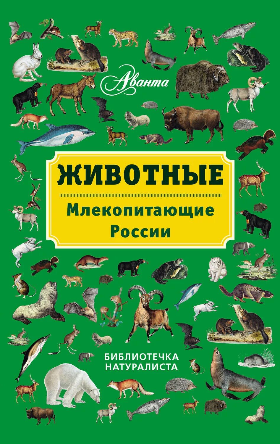 Книга млекопитающие россии. Книга животные. Млекопитающие. Книги о животных. Млекопитающие животные России.