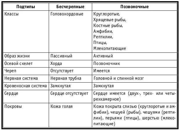 Общая характеристика хордовых 7 класс биология таблица. Таблица Хордовые биология 7 класс по классам. Таблица по биологии 7 класс сравнительная характеристика хордовых. Общая характеристика типа Хордовые таблица.