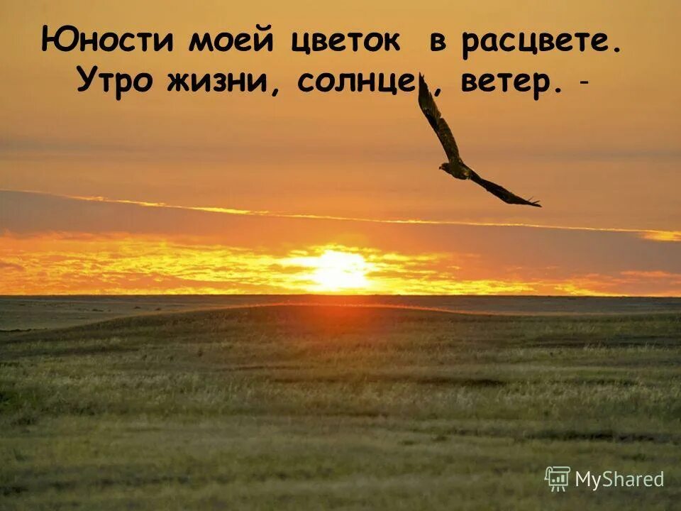 общий труд. блага иллюстрация. советские плакаты про труд. на благо многих. тружусь на благо родины.